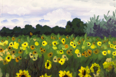 PA-2021_Field-of-Sunflowers