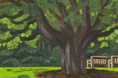 Tree at Inniswood
