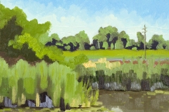 Pickerington Ponds